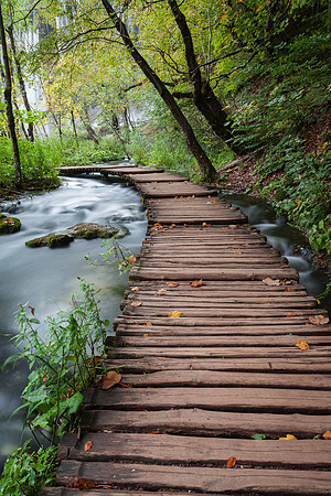 THE PATH