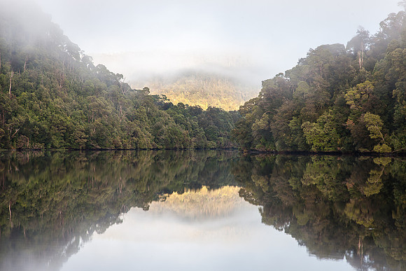RIVER REFLECTION